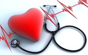 بخش درمان تامین اجتماعی زنجان در  زمینه تامین متخصصان قلب و مغز و اعصاب کمبود دارد