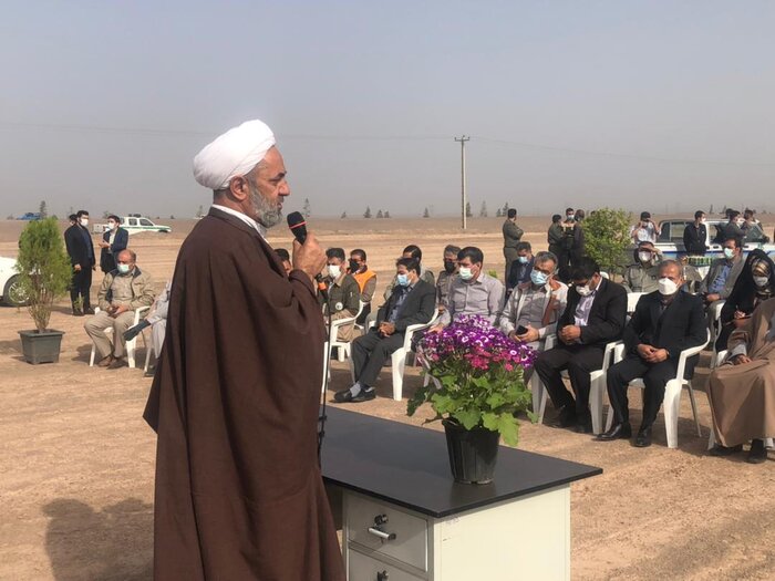 طرح ۱۲۰ هکتار جنگلکاری در رفسنجان به مرحله اجرا در آمد