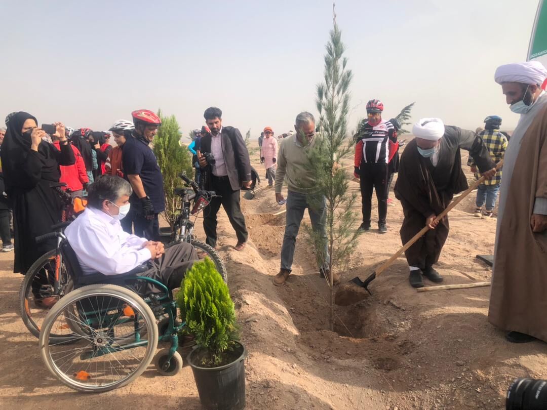 طرح ۱۲۰ هکتار جنگل‌کاری در رفسنجان به مرحله اجرا در آمد