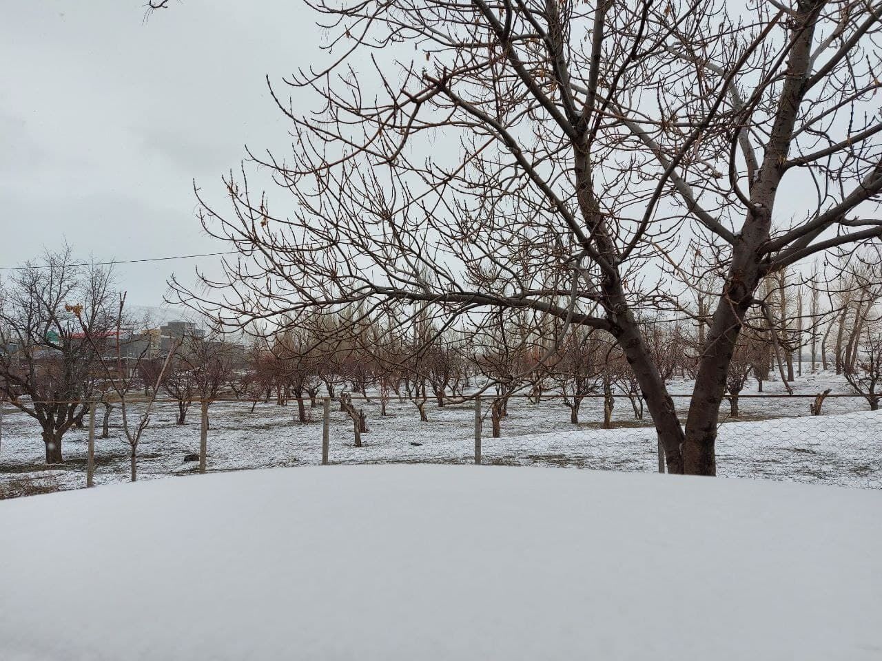 هوای زمستانه به آذربایجان‌شرقی برمی‌گردد