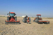 کشت بهاره محصولات کشاورزی در استان همدان آغاز شد 