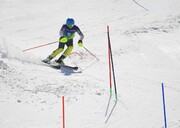 تیم تهران قهرمان اسکی آلپاین کشور شد