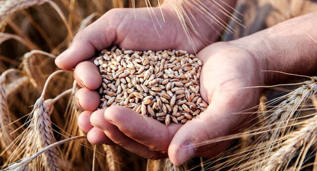 مهم ترین رویدادهای خبری/از دریافت تضمین کتبی توسط روسیه تا اجرای حکومت نظامی در کیف