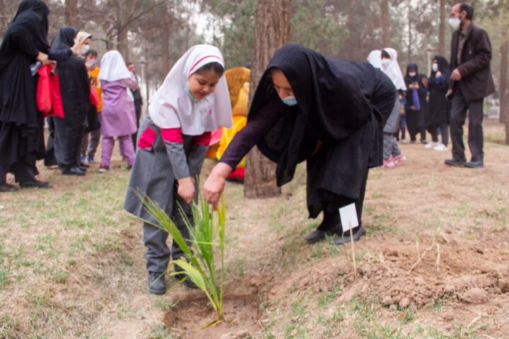 میخواهم مادربزرگ باشم