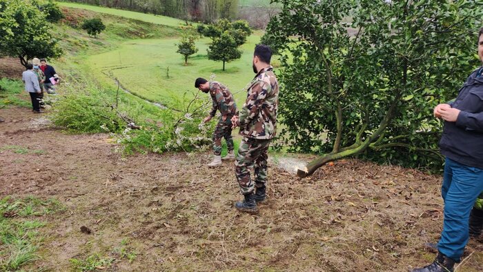 اجرای دستور رییس جمهور برای مقابله جنگلخواری در مازندران آغاز شد