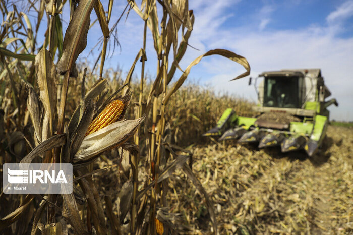 مهمترین رویدادهای خبری حوزه بین الملل در ساعات گذشته از نگاه ایرنا