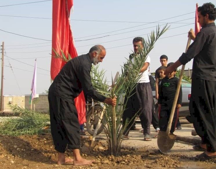 ابلاغ ثبت ملی هشت میراث ناملموس خوزستان/ دانش بومی کشت و پرورش نخل