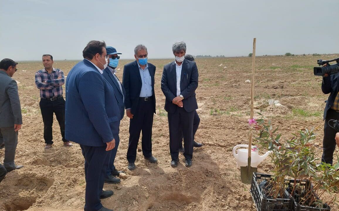 پروژه ۲ هزار هکتاری زراعت چوب در خوزستان آغاز شد
