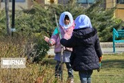 محتوای زیست محیطی در۱۲ کتاب درسی گنجانده می‌شود