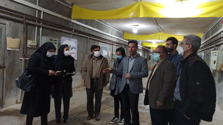 سالانه یک هزار و ۵۰۰ تن قارچ در شهرستان همدان تولید میشود