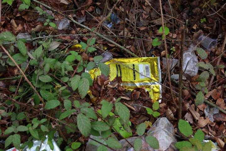 زبالههای رها شده، مانع اصلی رونق گردشگری در جنگلهای هیرکانی