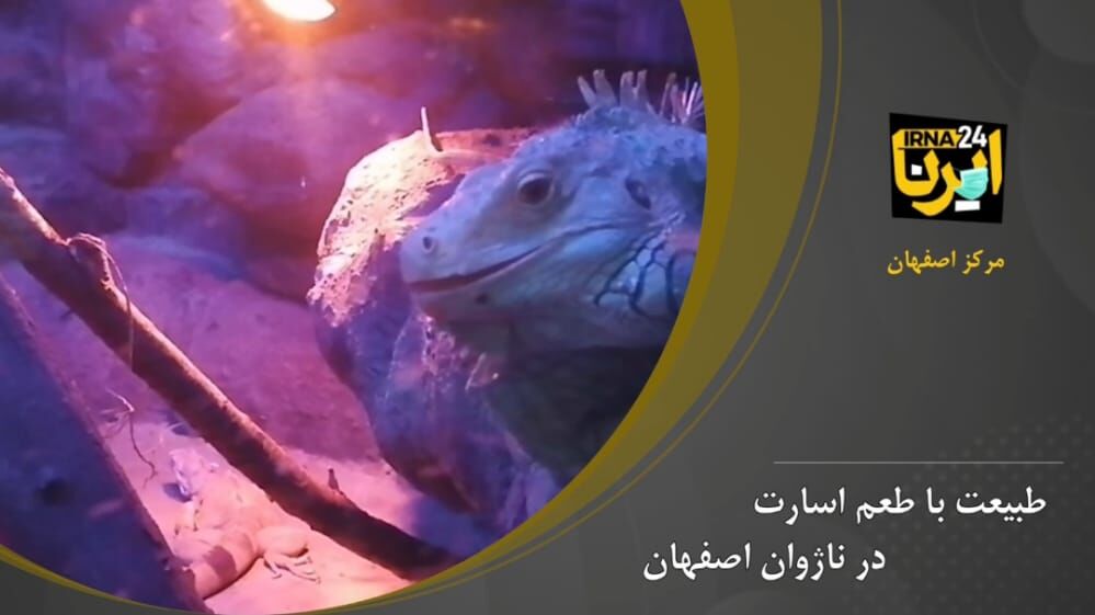 طبیعت با طعم اسارت در ناژوان اصفهان