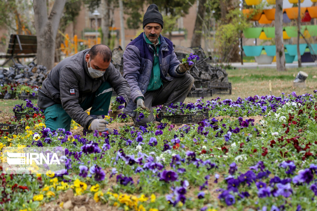 طرح استقبال از بهار در بوستان های قزوین اجرا شد