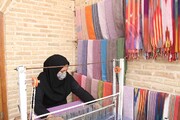 هفت سمن کارآفرینی و کسب و کار در زنجان مجوز کسب کرده اند