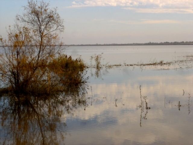 تمهیدات مسوولان گنبدی برای ارائه خدمات به مردم در روز طبیعت