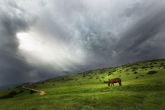 منطقه جنگلی جهاننما زیباترین تابلوی گردشگری گلستان 2