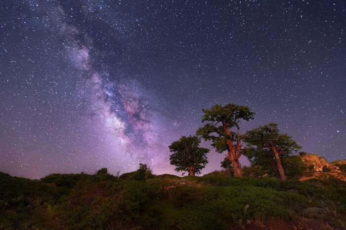 منطقه جنگلی جهاننما زیباترین تابلوی گردشگری گلستان 3