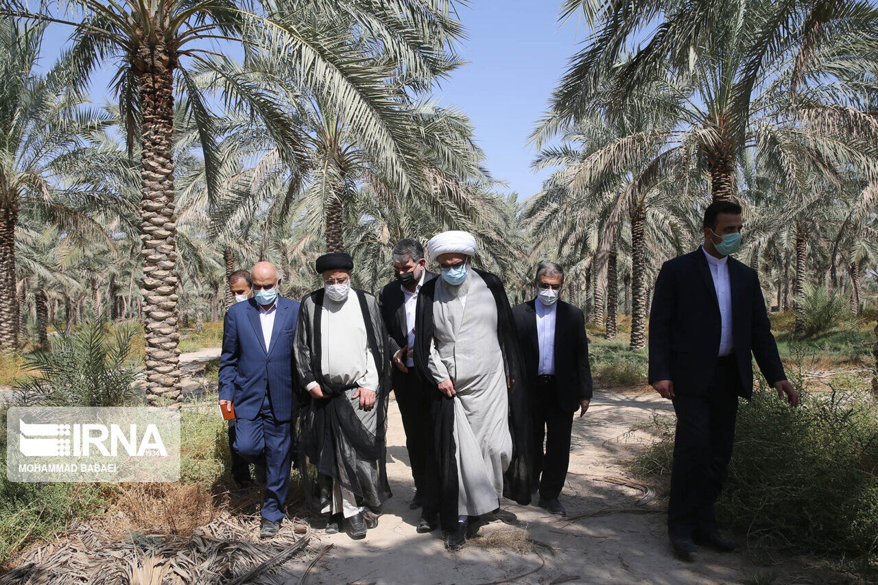 ۶۴میلیارد تومان از اعتبارات سفر رئیس جمهوری در بخش کشاورزی بوشهر محقق شد