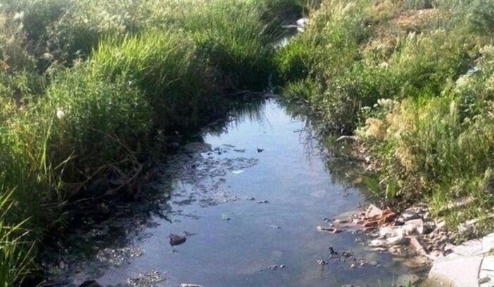 رفع بوی نامطبوع ورودی شرق شیراز با نظارت بر تانکرهای سیار فاضلاب رفع بوی نامطبوع ورودی شرق شیراز با نظارت بر تانکرهای سیار فاضلاب