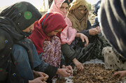 هشدار مقام سازمان ملل درمورد بحران سوءتغذیه و ناامنی غذایی در افغانستان 