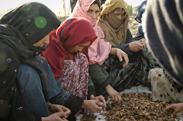 هشدار مقام سازمان ملل درمورد بحران سوءتغذیه و ناامنی غذایی در افغانستان 