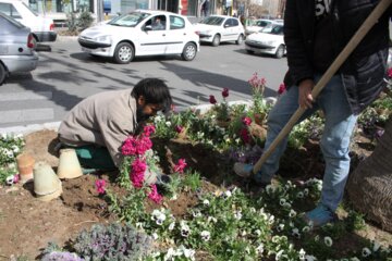 گل کاری بهار درسمنان