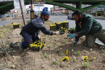 گل کاری بهار درسمنان