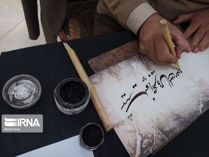 تجارب ایران برای توسعه جمعیتهای ملی در دنیا موثر است 6