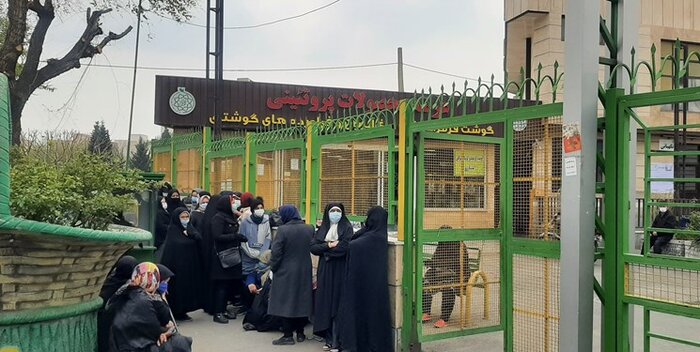 نگاهی به یکسال قبل؛ وقتی مردم در صف مرغ و روغن بودند/دولت سیزدهم چگونه صف کالاهای اساسی را حذف کرد