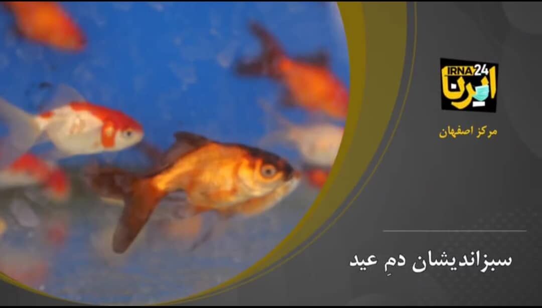 سبزاندیشان دمِ عید