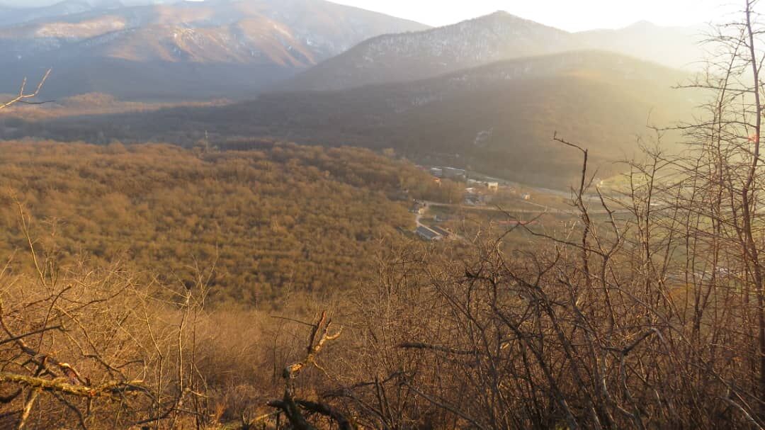 برف و باران نیامد، پارک ملی گلستان خشکید