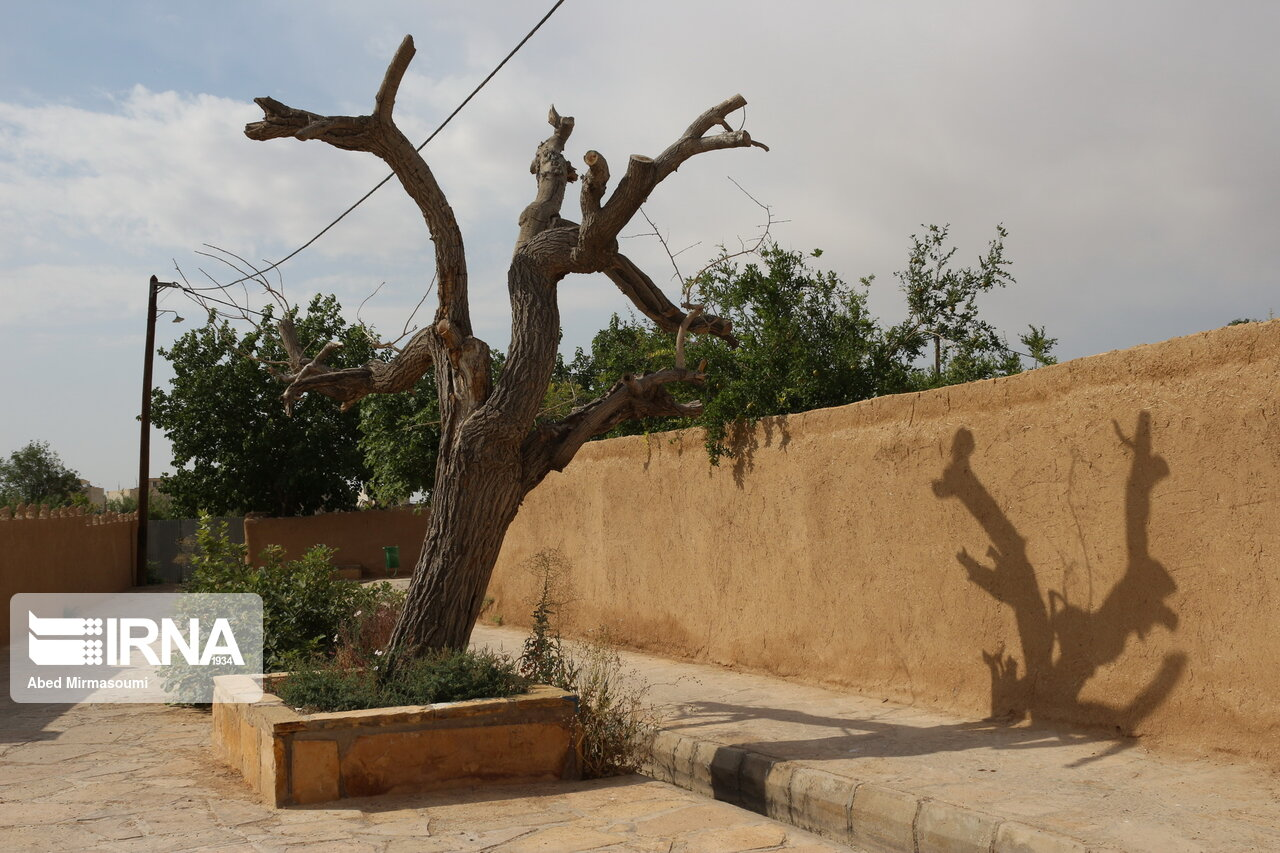 سمنان، شهر کوچه باغ‌ها