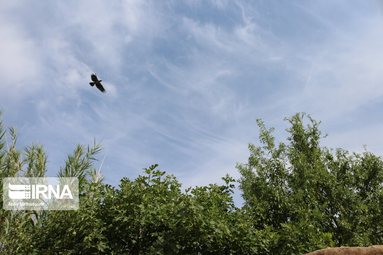 سمنان، شهر کوچه باغها