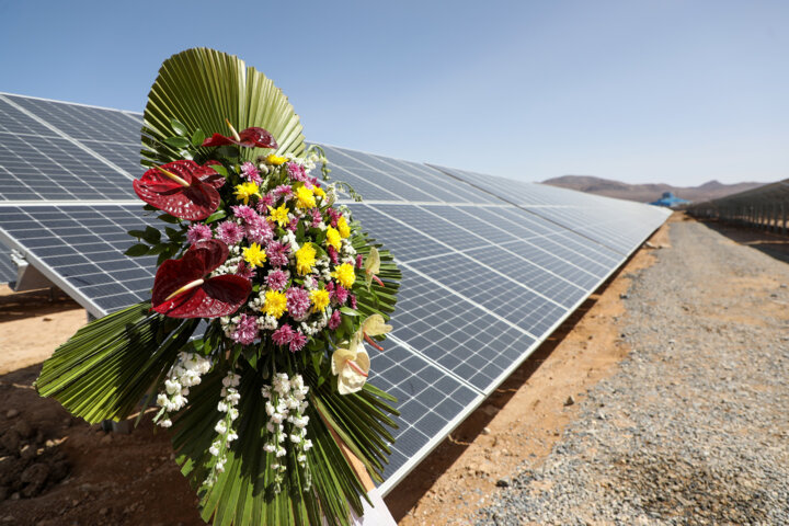 کشاورزانی که میتوانند برق بکارند