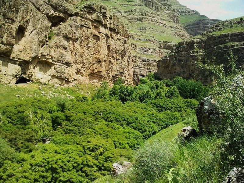 سفر به درگز شهر طبیعت بهشتی خراسان رضوی سفر به درگز شهر طبیعت بهشتی خراسان رضوی