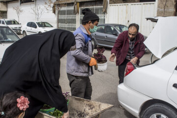 باغ گردشگری سبزینه سمنان