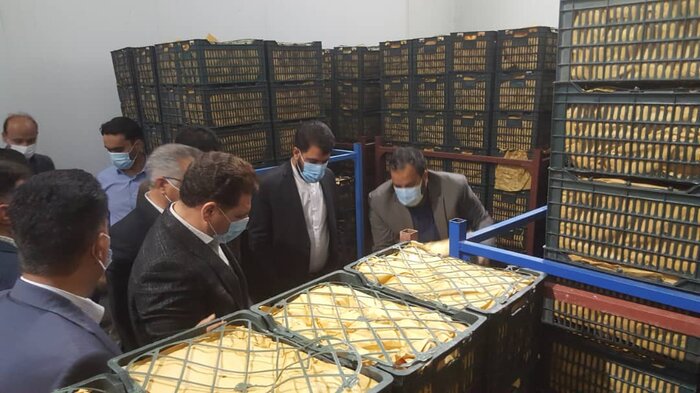 آغاز توزیع میوه شب عید در کرمان/ استاندار: کمبود نداریم و قیمت بالا نمیرود