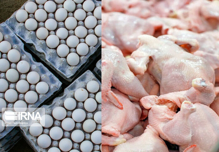 فراوانی کالاهای اساسی در آستانه ماه رمضان / مشکل کمبود مرغ در کرمان همچنان باقی است 
