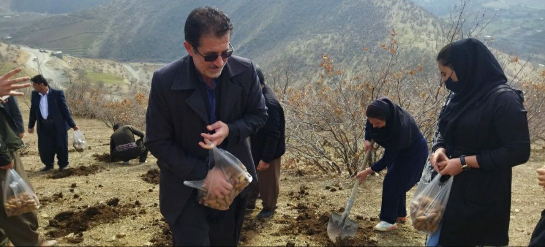 پویش همگانی احیای جنگل های سروآباد آغاز شد پویش همگانی احیای جنگل های سروآباد آغاز شد