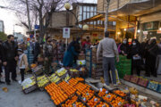 ۴ تیم بازرسی نوروزی در چهارمحال و بختیاری فعال شد