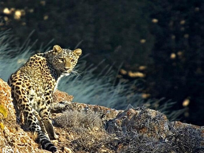 جاذبههای تاریخی و گردشگری خطه خورشید