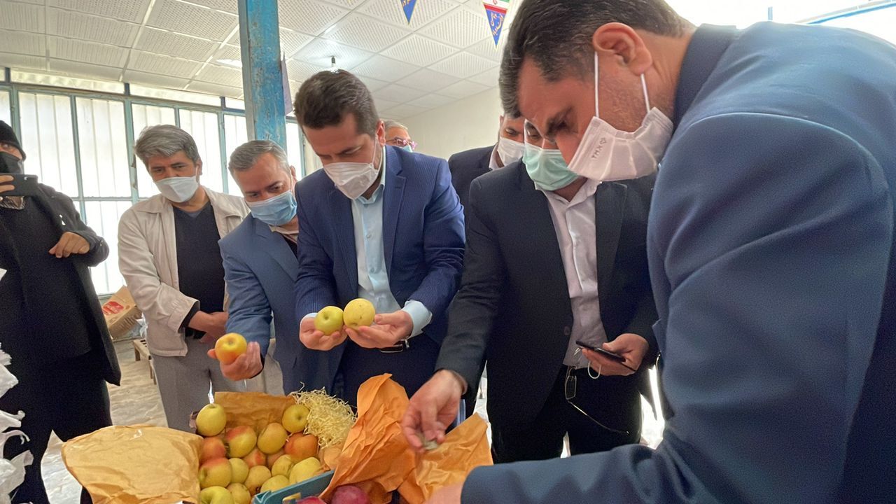 مراکز فروش میوه ویژه عید نوروز در گلستان افزایش یافت مراکز فروش میوه ویژه عید نوروز در گلستان افزایش یافت