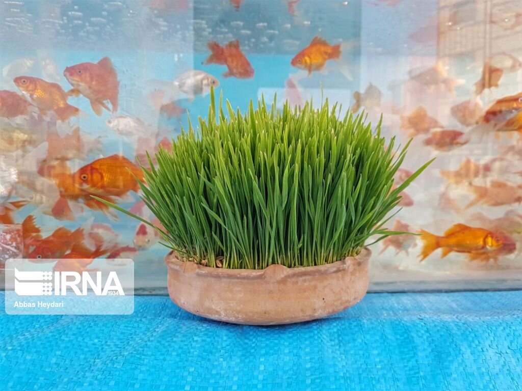 سفرههای هفتسین در سایه مقاومت جان میگیرند سفرههای هفتسین در سایه مقاومت جان میگیرند