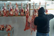 زنجیره گوشت قرمز تولیدی عشایر آذربایجان‌غربی تکمیل می‌شود
