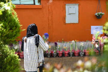 Marché aux fleurs de Chiraz à l’approche du Nouvel An