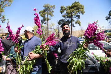 Marché aux fleurs de Chiraz à l’approche du Nouvel An