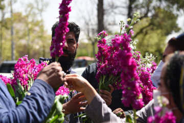 Marché aux fleurs de Chiraz à l’approche du Nouvel An