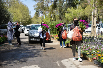 Marché aux fleurs de Chiraz à l’approche du Nouvel An