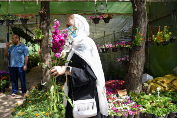 Marché aux fleurs de Chiraz à l’approche du Nouvel An