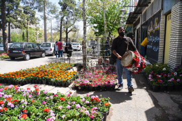 Marché aux fleurs de Chiraz à l’approche du Nouvel An